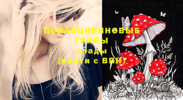 молекула духа Семёнов
