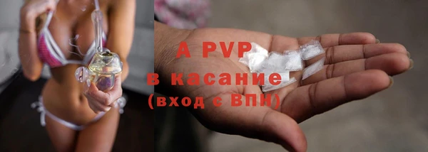 jwh Белокуриха