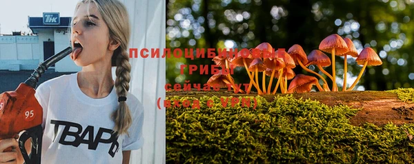 jwh Белокуриха