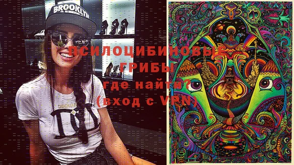 jwh Белокуриха