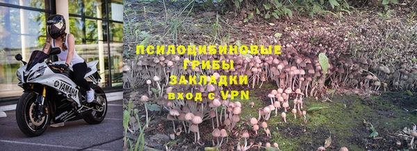 jwh Белокуриха