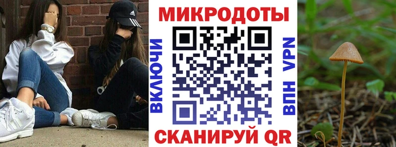 Галлюциногенные грибы ЛСД Нерчинск