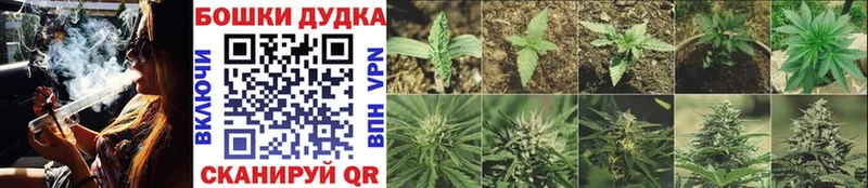 Шишки марихуана SATIVA & INDICA  Нерчинск 
